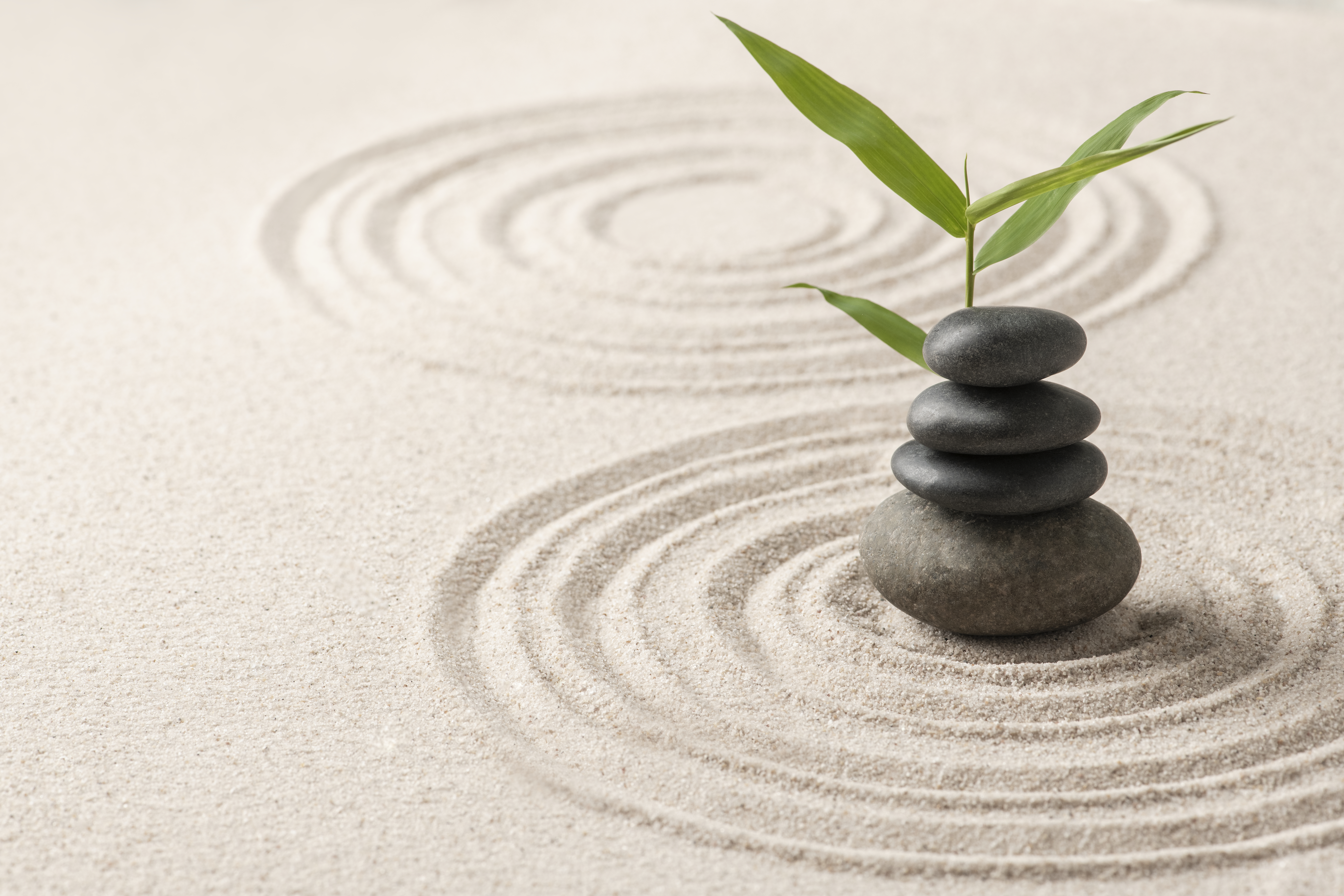 Jardín zen con piedras y arena en círculos concéntricos